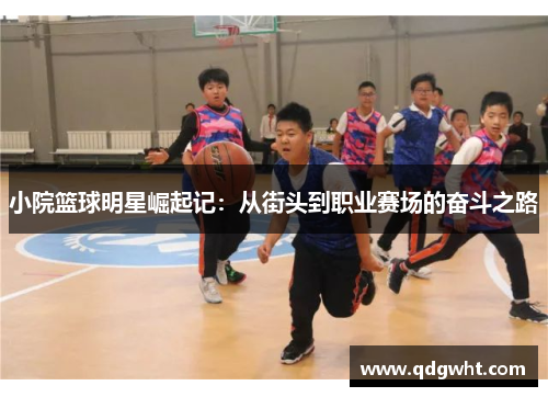 小院篮球明星崛起记：从街头到职业赛场的奋斗之路