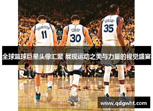 全球篮球巨星头像汇聚 展现运动之美与力量的视觉盛宴