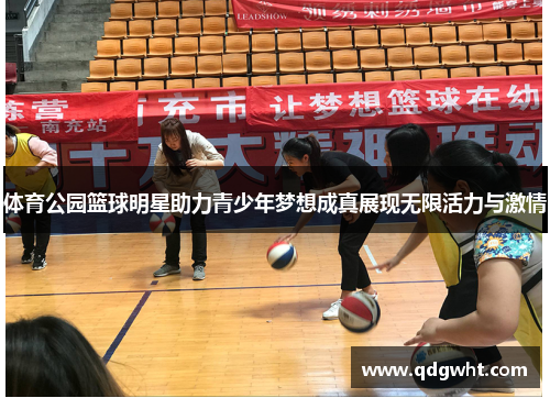 体育公园篮球明星助力青少年梦想成真展现无限活力与激情