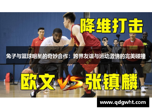 兔子与篮球明星的奇妙合作：跨界友谊与运动激情的完美碰撞